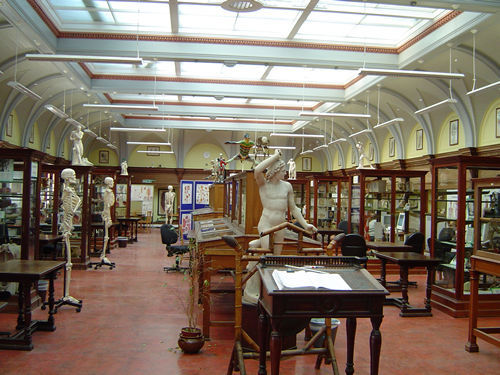 Anatomy Museum - The Medical School - University of Edinburgh